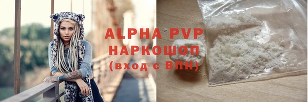 скорость Шали
