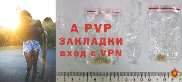 скорость Шали