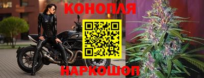 стаф Волжский